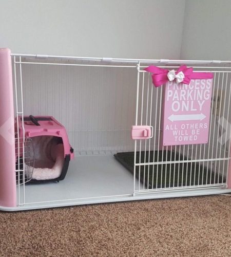 F12D57A5-C3BC-4CD7-80B9-DDDDF3AF4840